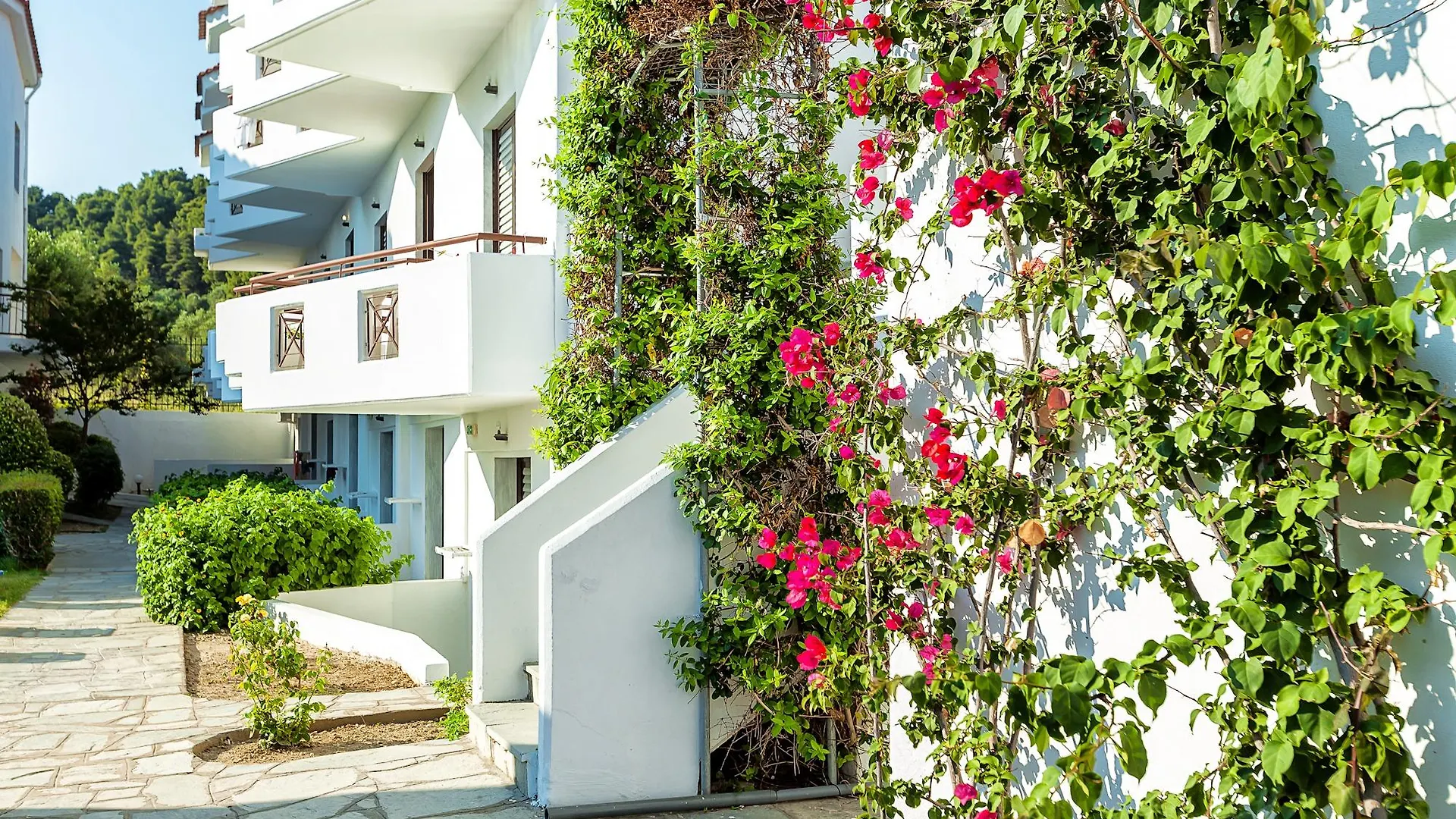 Xenios Dolphin Beach Hotel Possidi