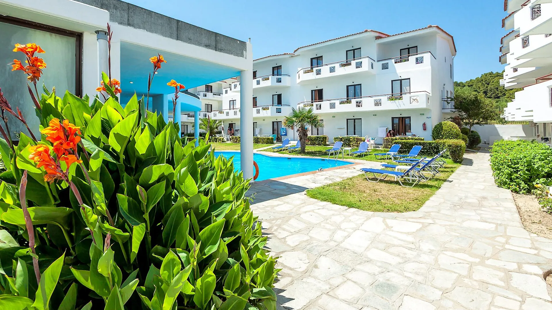 Xenios Dolphin Beach Hotel Possidi